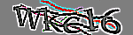 Enter the character string shown in the picture